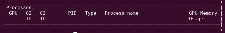 Output when there is at least a process in a container using the GPU. The section is left empty.